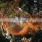 Factory Produce Top Quality Olive Fall Protection Harvest Nets with Grommets