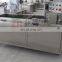 Air bubble fruit washing machine strawberry washer machine mushroom washing machine for food processing factory