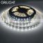 CCT Adjustable 2 in 1 Dual Color WW CW Led Strip