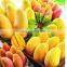 Factory Price Industrial Fruit Apple Watermelon Mango Pineapple Juice Crusher Juicer Extractor Machine