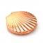 1X/2X Two sided shell shape folding make up pocket mirror