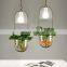 Modern creative glass plant hydroponics led pendant light for decorate