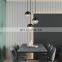Modern Metal LED Chandelier Light Glass Round Decoration Pendant Lighting Fixture