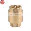 Dual Plate Duckbill Flap Vertical Dn100 Pn16 Natural Gas 8 Inch Flapper Type Swing Check Valve