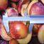 IQF Frozen Plum Peach Halve Freezing Nectarine