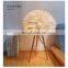 Nordic Plug-in Lamp Creative Personality Bedroom Bedside Living Room Study Feather Table Lamp