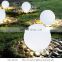 plastic snowball globe projector light/solar garden large outdoor ball lights with Tuya function