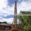 Fairground amusement equipment adult game theme park drop tower rides for sale