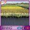 Ground Cover Fabric/plastic Ground Cover