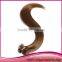 100 Cheap Remy U Tip Hair Extension Wholesale 100%Indian Virgin Remy Hair