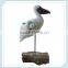 Polyresin seagull with shells wing crafts for home decor