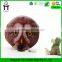 Eagle face shape plush cion purse pouch coin mini bag