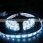 2016 festalight factory price 5m/roll ourdoor christmas swimming pool lights smd 3528 Flxible led light strip 5050 blue ce rohs
