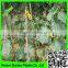 Supper hdpe tomato /cucumber plant support net