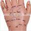 Meridian hand model touch household needle mould human meridian model of human body meridian acupuncture