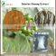 100% Natural Siberian Ginseng Extract,Siberian Ginseng Extract 0.8%/1.2% Eleutheroside B+E,0.8%/1.2% Eleutheroside B+E'