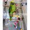 Colorful Parrot Rotating Ladder Parrot Standing Rope Pet Bird Parrot Cage Macaw Cockatoo Cockatiel Conure Rotating Staircase