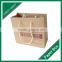 fancy printing kraft paper gift bag for shopping in China mainland