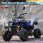 250cc ATV quad bike ATVs 250cc adult buggy trike ATV 4 wheeler ATV for adults