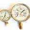 High Quality Back Mounting and Bottom Mounting Stainless Steel Hydraulic Oil Filled Pressure Gauges