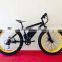 green color fat type 350W 36V Electric mountain Bicycle