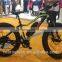 750W Fat Tire Snow Beach Electric Bike