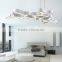 Hot Selling Acrylic Pendant Light 110V/220V Iron Pendant Lights