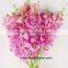 Thanksgiving Day Natural Black Orchid Flowers For Sale For Wedding