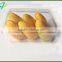 Plastic tray for food packaging