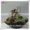 2015mini succulent bonsai pots