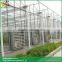 Venlo Roof Greenhouse Design Small Greenhouses for Sale