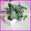 vertical grass wall plant hanging wall for plants foliage plant