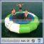 2015 Hot Sale Steel Frame Inflatable Water Trampoline for Kids