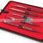 Blackhead and Blemish Remover Tool Kit