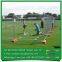 Factory direct Galvanized temporary fence/mobile fence/portable fence