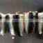 155g Canned Sardine for Sale