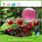 100% natural extracts 5% anthocyanidins cranberry extract