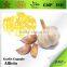 BNP-100% Pure Nature and High Quality Garlic Oil/garlic oil soft capsule