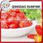 Hot selling sweet preserved dried cherry tomato