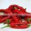 Chillies wonder hot