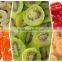 Dried apricot /dried apricot turkey/raw apricot seeds