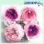 Wholesale Natural Flowers Preserved Austin Rose Head for Wedding Decoration 4-5cm Rose Head 8 pcs/box