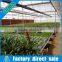 Hot sale rolling bench seed bed for agriculture greenhouse