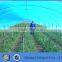 green house used HDPE polytunnel covers