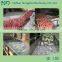 fruits & vegetables washing and cleaning machine