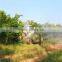 hot sale tractor PTO use boom tank air blast sprayer 1000L use in orchard vineyard fruit farm