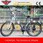 2015 New Model Electric Bike (EL04)