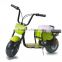 Lead Acid battery 24V mini electric scooter 350W for kids girl (TKE350-4)