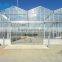 Venlo Type Glass Covered Agricultural Greenhouse For Seeds Growing
