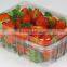 Disposable packaging ;Vegetable box ;Fruit dish